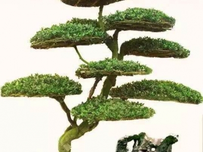 精加工